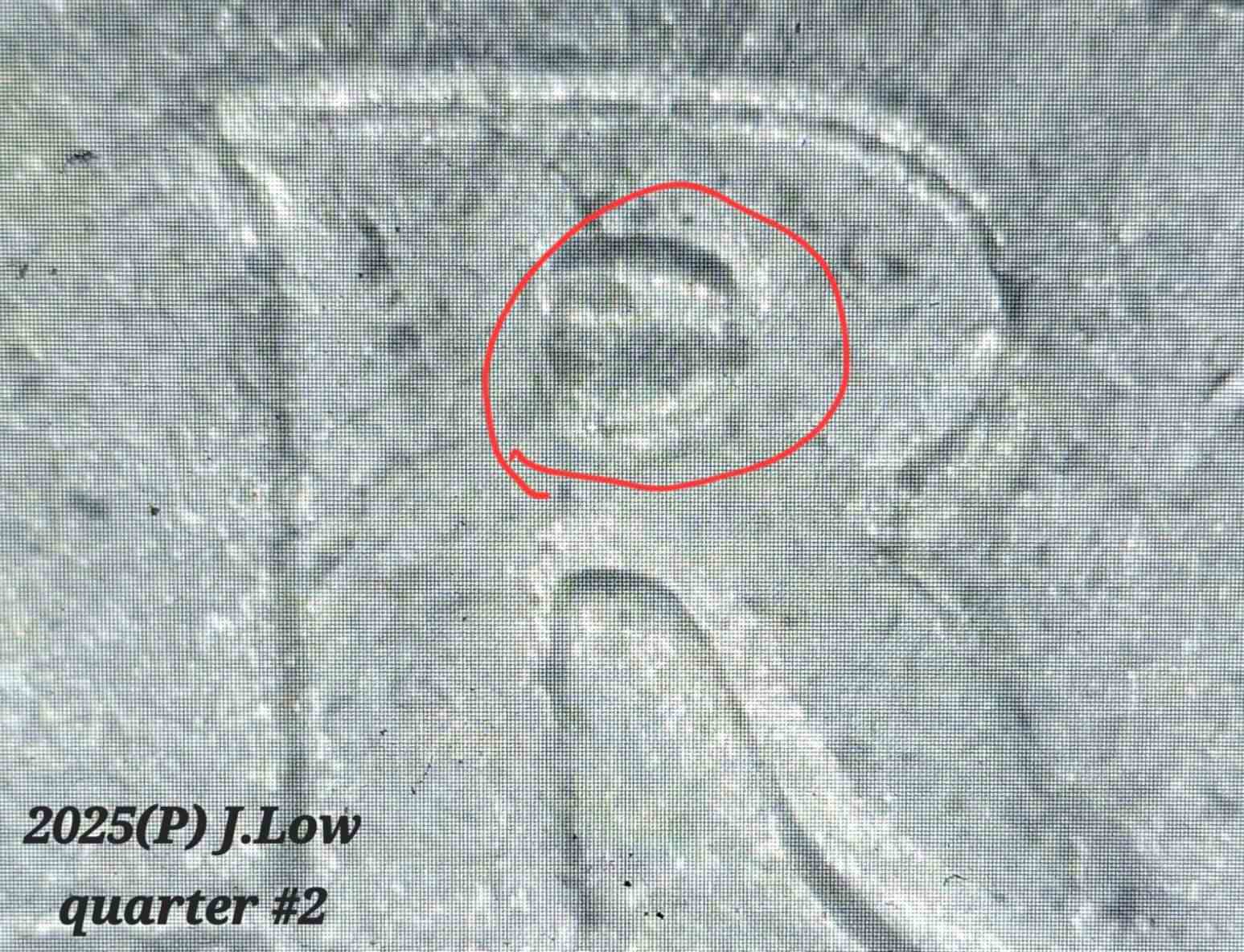 2025-P-J-Low-Quarter-Again.-PMD-Or?