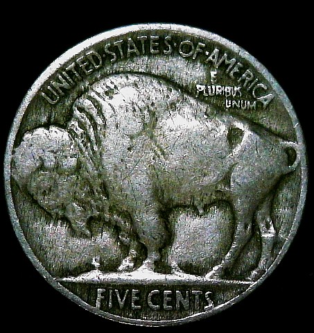 First-Buffalo-Today!