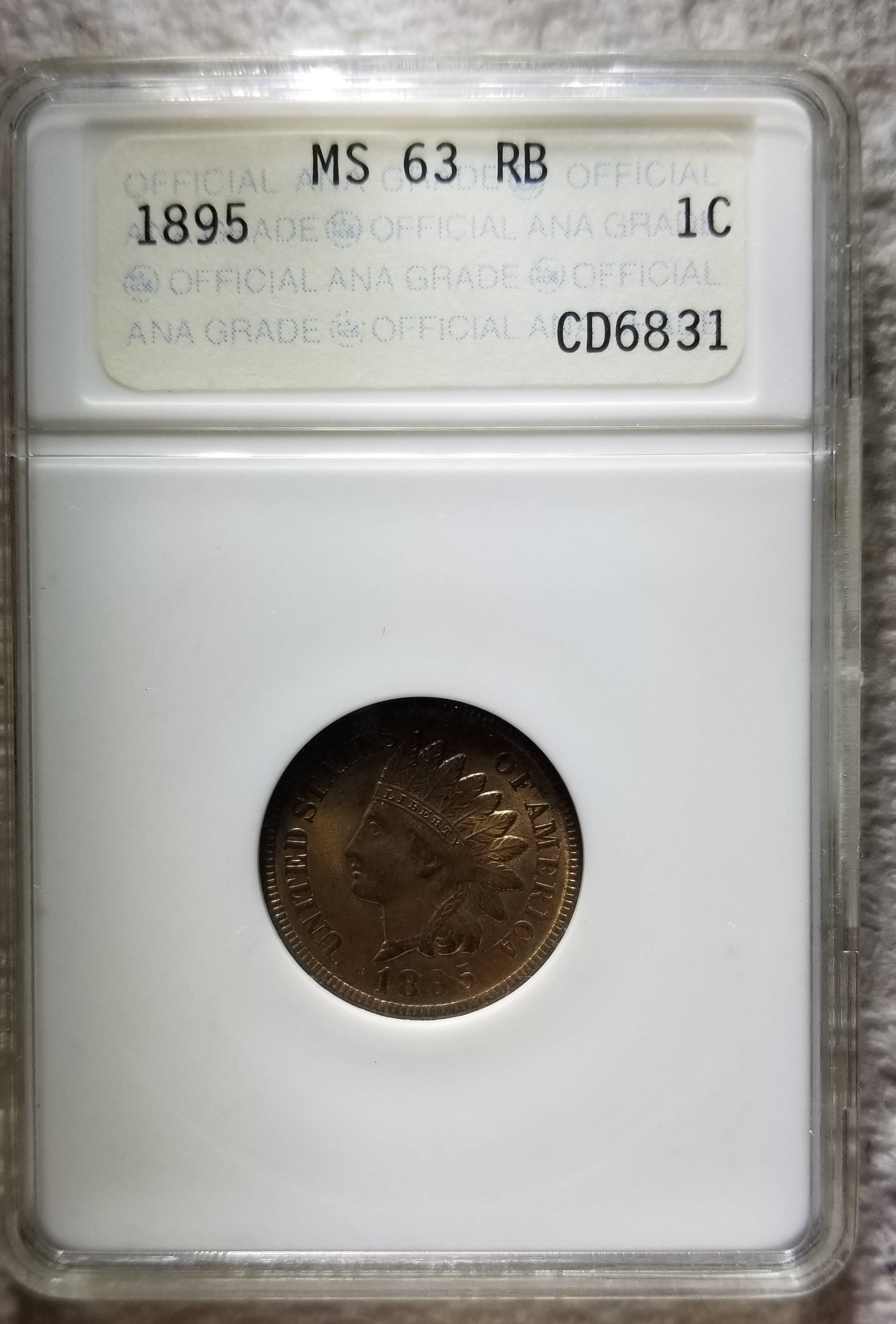Is-ANA-A-Reputable-Legit-Grading-Company-And-Request-Opinion-Of-Grade-On-1895-Indian-Head-Cent