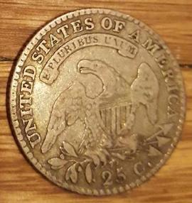 New-Pursuit,-Bust-Quarters