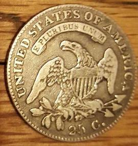 New-Pursuit,-Bust-Quarters