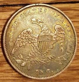 New-Pursuit,-Bust-Quarters