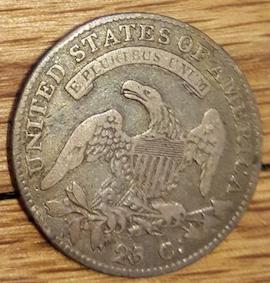 New-Pursuit,-Bust-Quarters