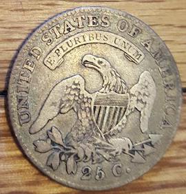 New-Pursuit,-Bust-Quarters
