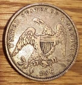 New-Pursuit,-Bust-Quarters