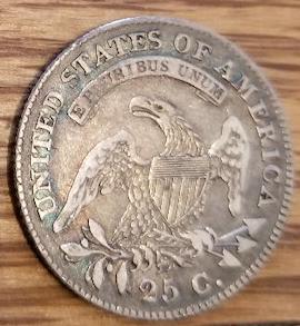 New-Pursuit,-Bust-Quarters