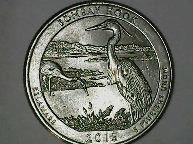 2015-Bombay-Delaware-P-Quarter-WDDR-011