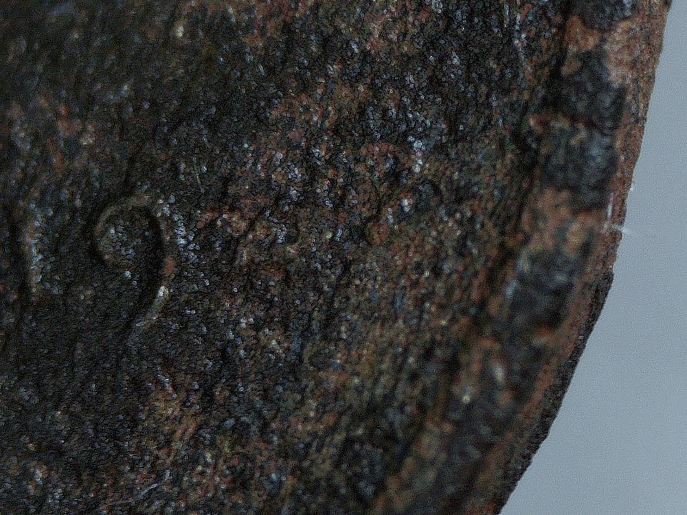 Metal-Detecting-Find---1922-No-D-LWC---Is-It-A-Lost-Cause?