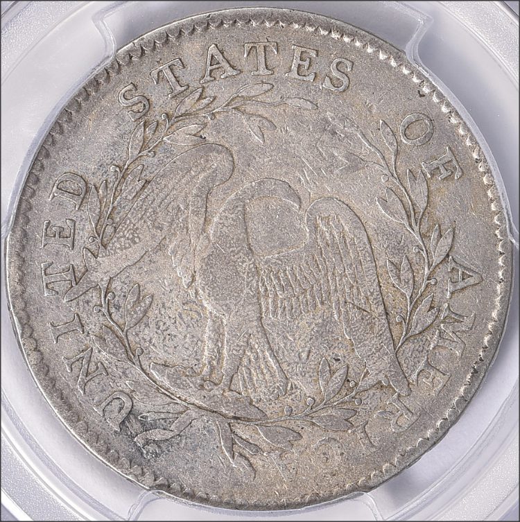 Could-I-Get-A-Few-Thoughts-On-This-1795-Flowing-Half