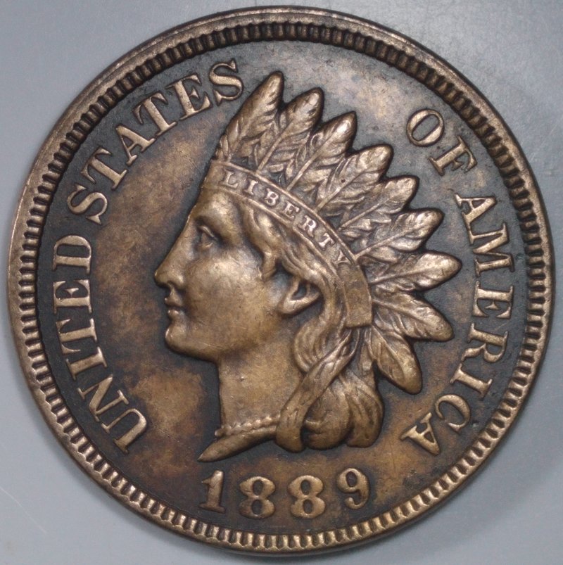 1889-Indian-For-Grading-Please