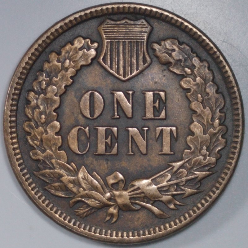 1889-Indian-For-Grading-Please