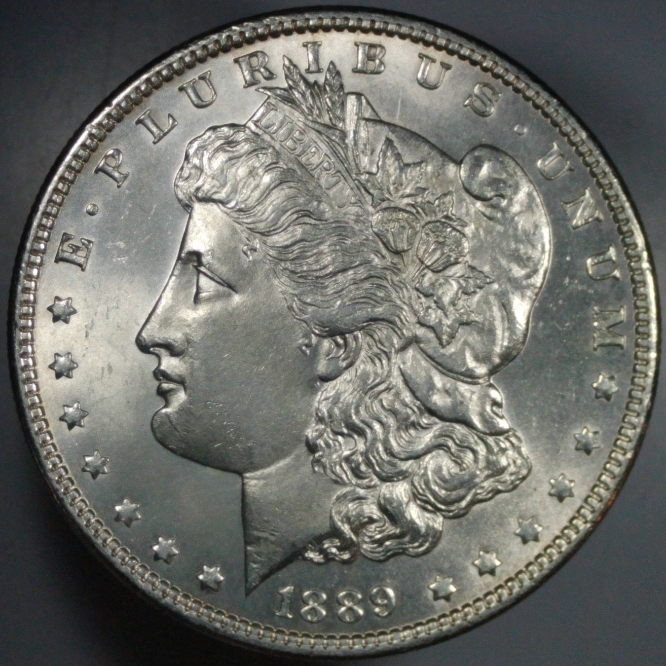 Grade-Guess---1889-Morgan
