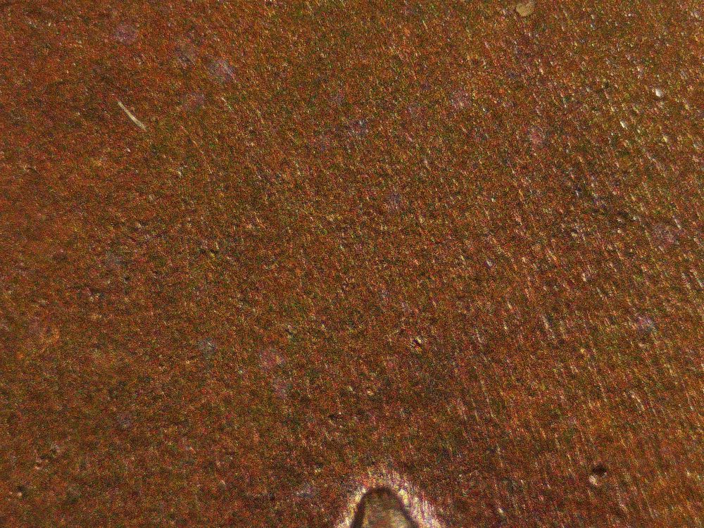 1847-Large-Cent---Opinions-Please
