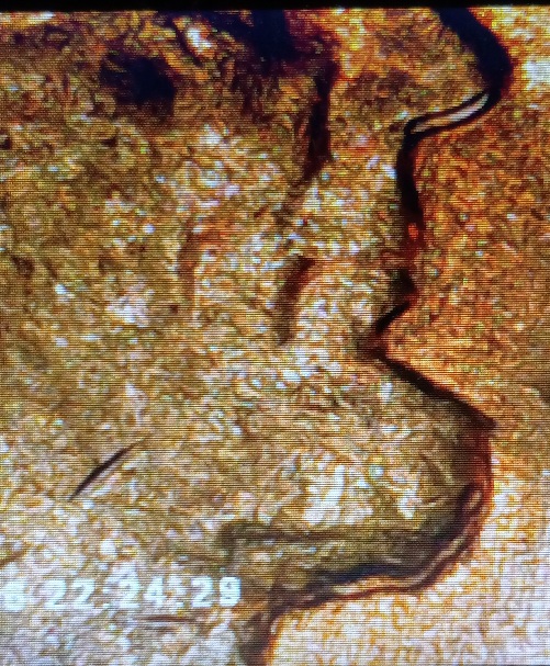 1969-S-Lincoln--Cent-Possible-Misaligned-Die-Or-Other-Error