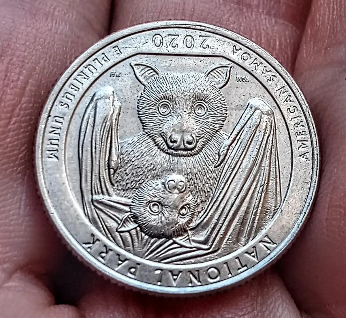 2020-W-Quarter-For-Grading
