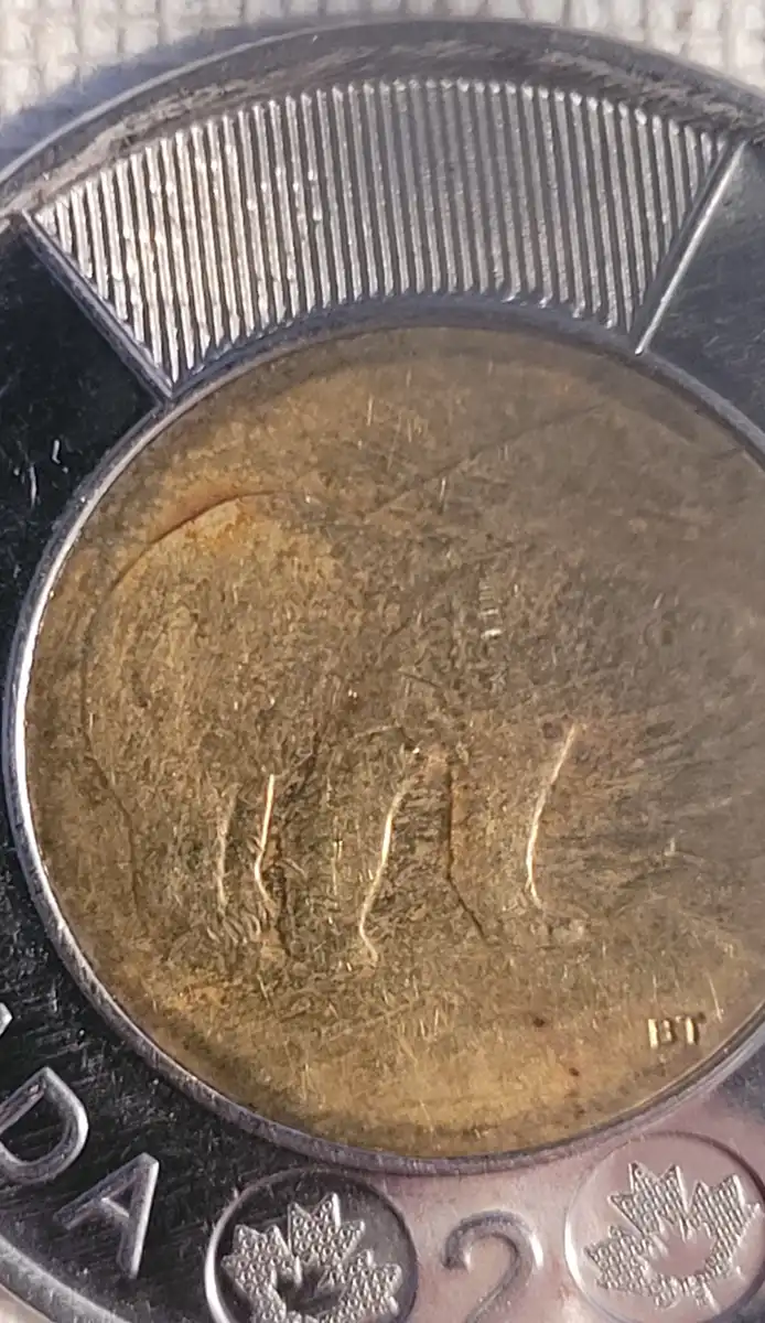 2024-Canadian-Toonie