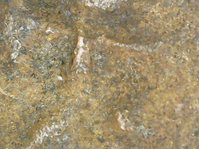 Unknow-Hoard-Of-Medieval-Coins