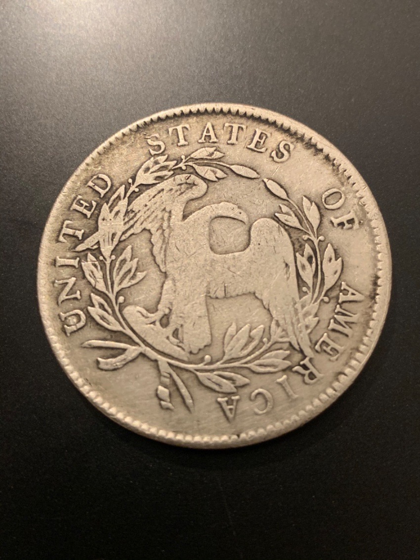 I'm-New-To-The-Hobby,-I-Would-Like-Anyone's-Input-Please-1794-Dollar