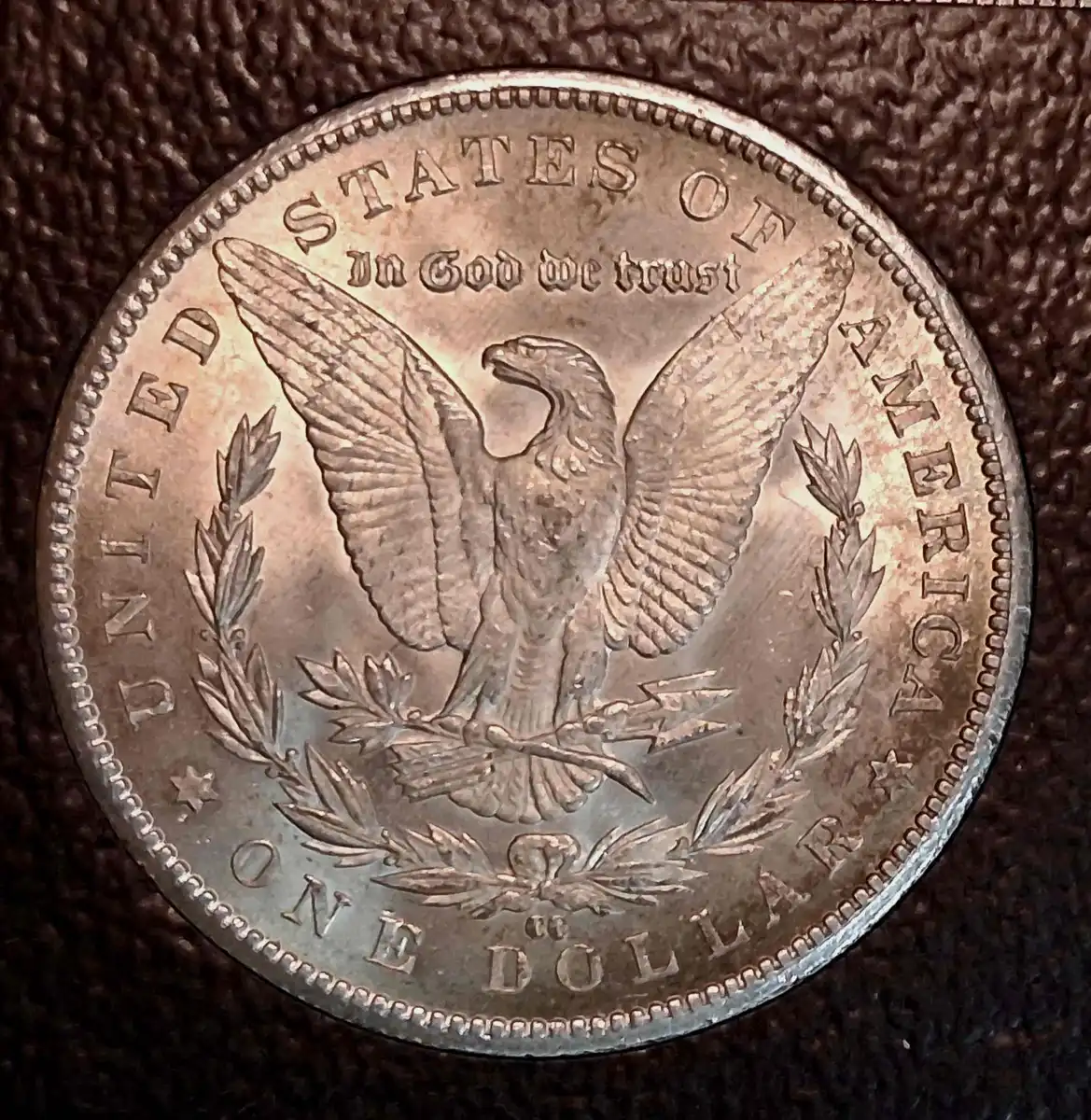 1884-CC-Morgan-Dollar-For-Grading-Opinions