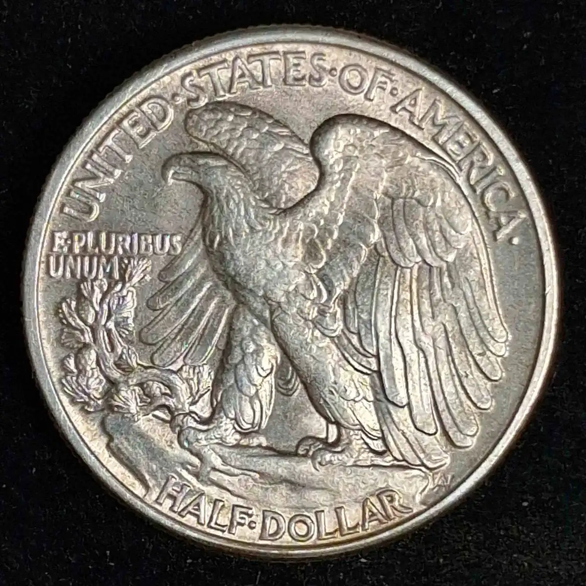 1940-Walking-Liberty-Half-Dollar-Grading-Opinions.