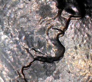 1984-Double-Ear-Penny-?