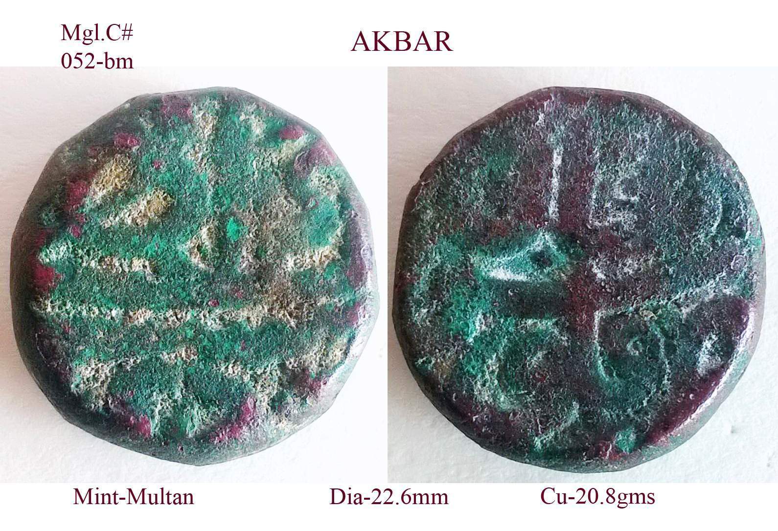 Coins-Of-India---Mughal-Coins