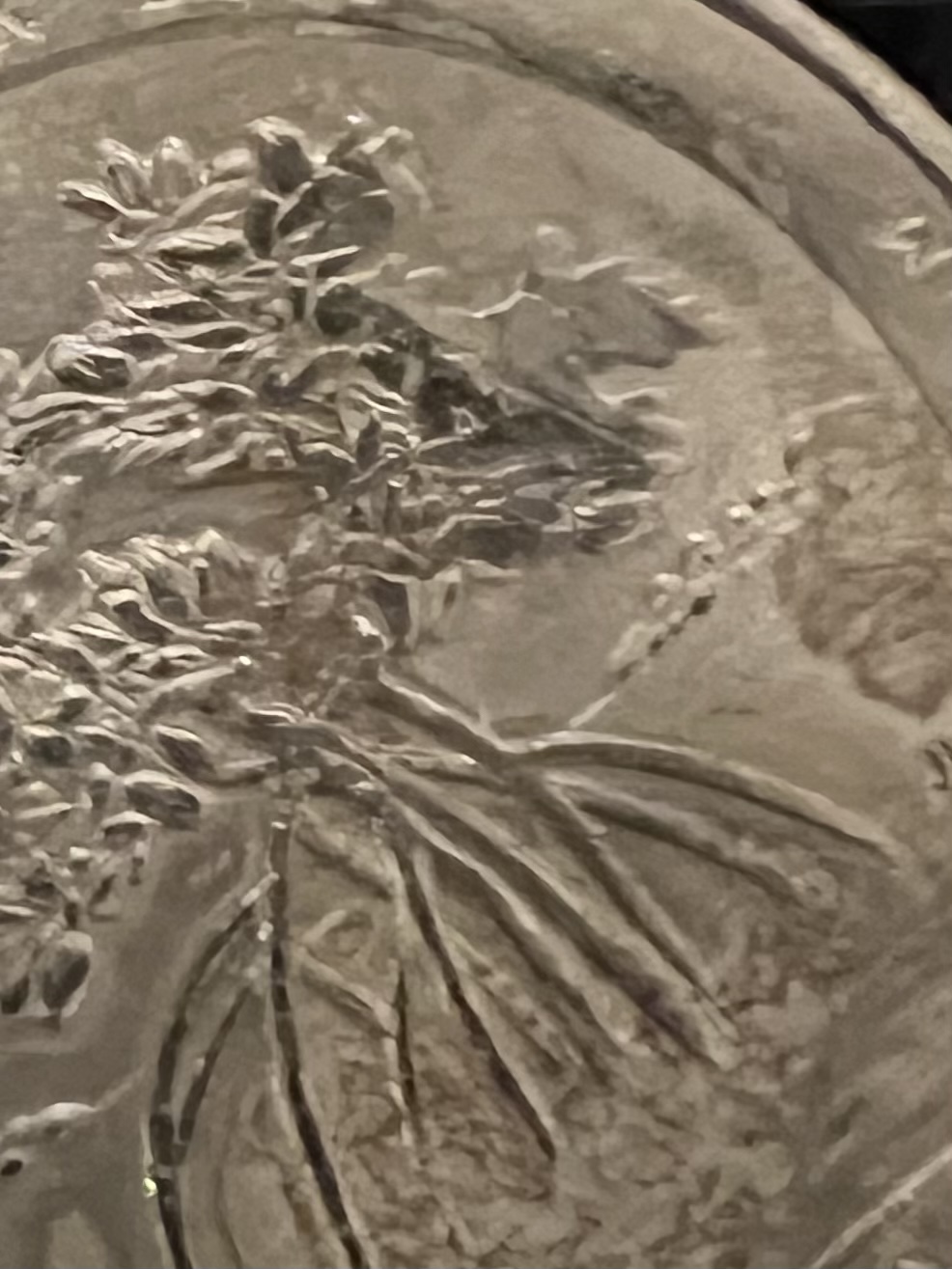 2020-Salt-River-Bay-P-Quarter-Coin-Error