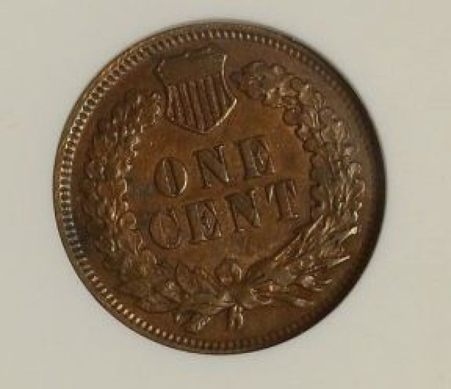 Indian-Cent-Monday-Post-Your-Pics.