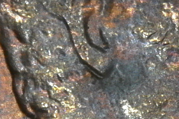 Is-This-A-1984-LMC-Double-Ear?