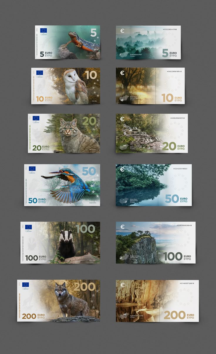 Exploring-The-World-Through-Currency