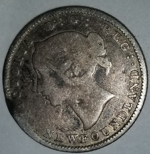 Intro---Matthew---Coin-Collector-From-California