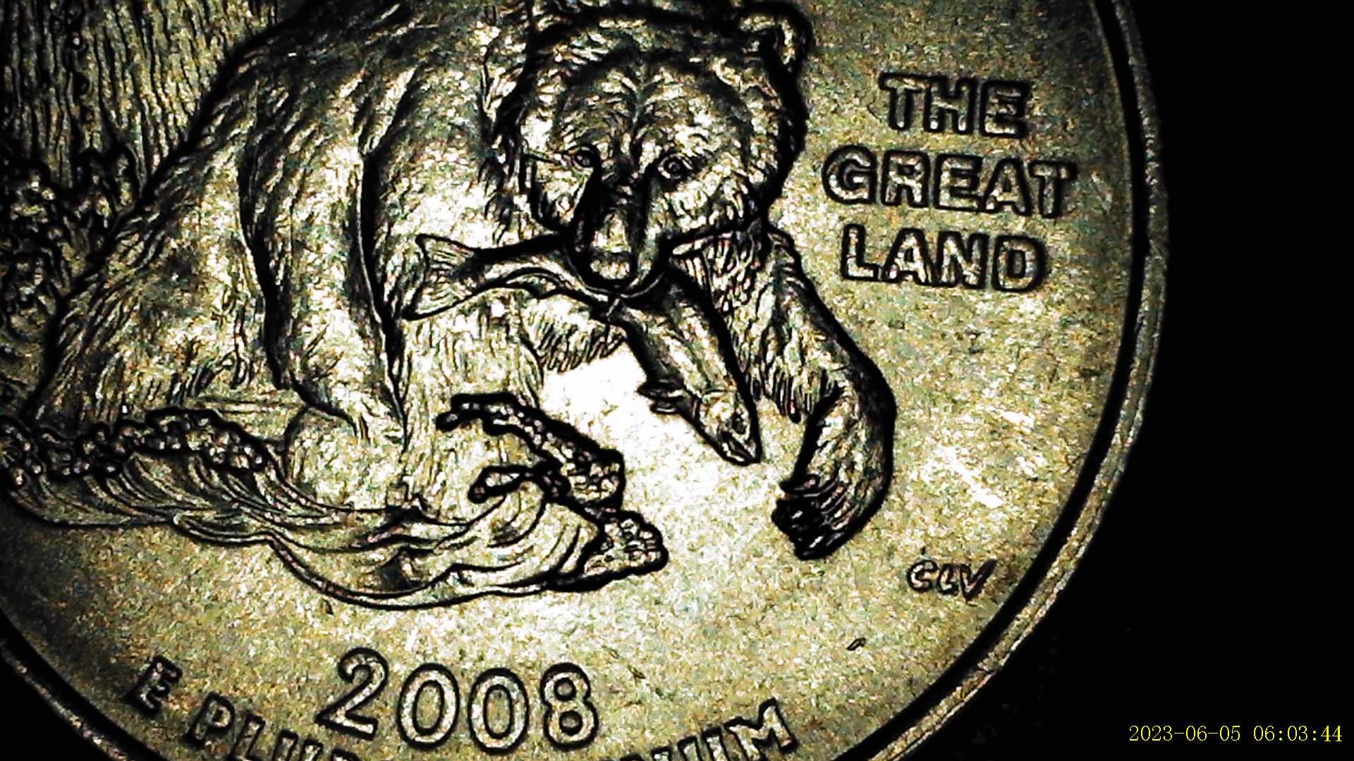 2008-Alaska-State-Quarter-Claw-Full-Die-Chips
