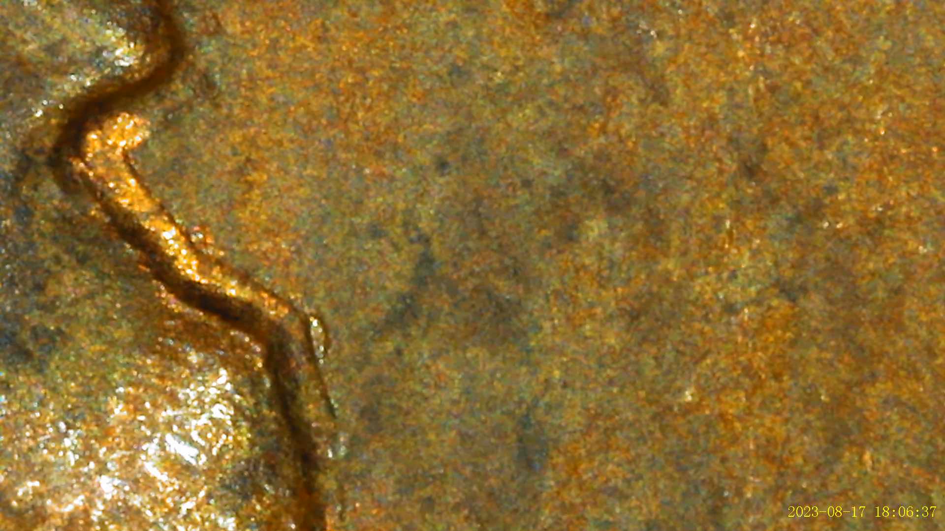 1935-Penny-With-Focus-On-Possible-DDO-Of-Date