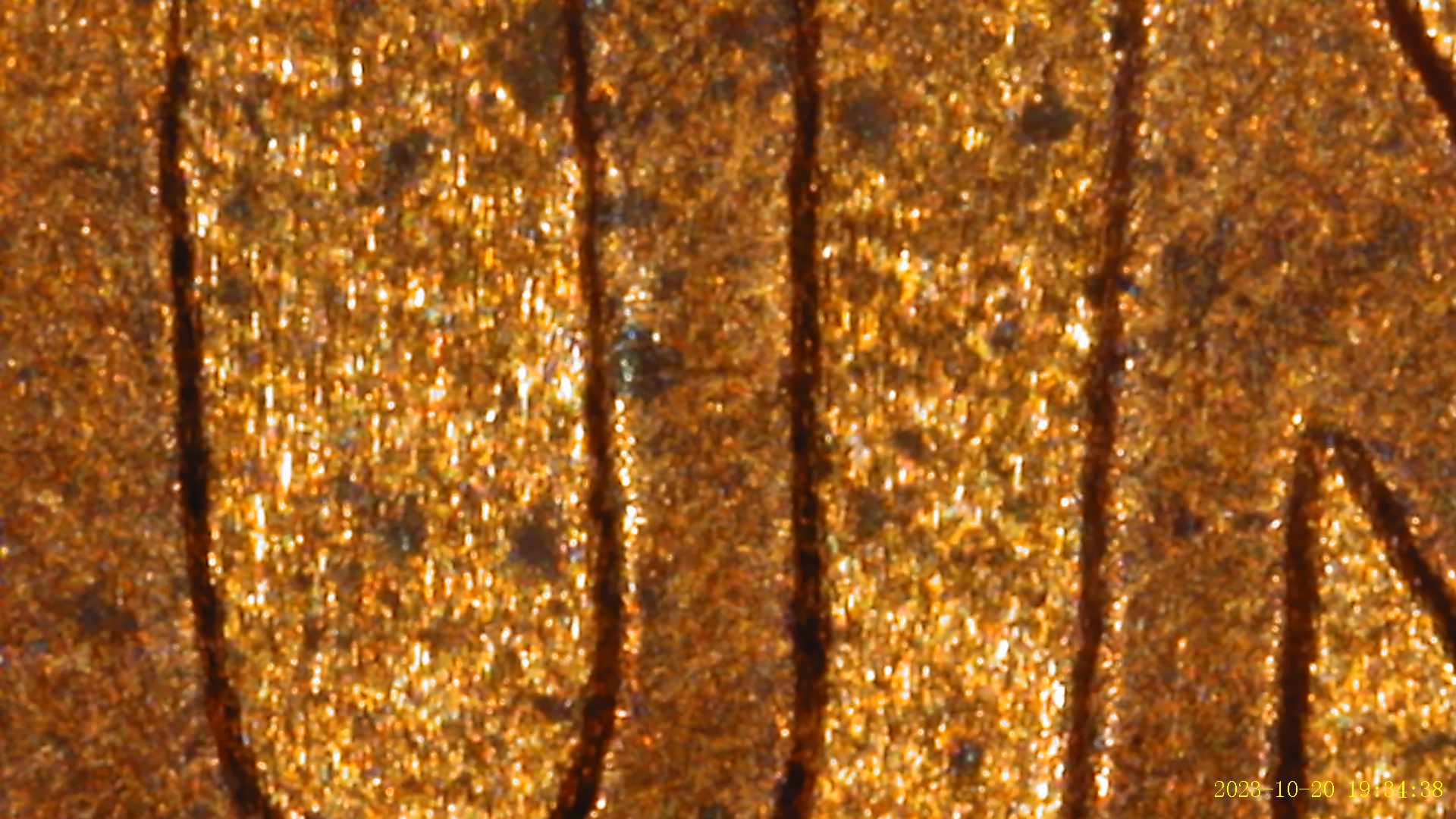 2001-Penny-With-Possible-Links-To-A-DDR