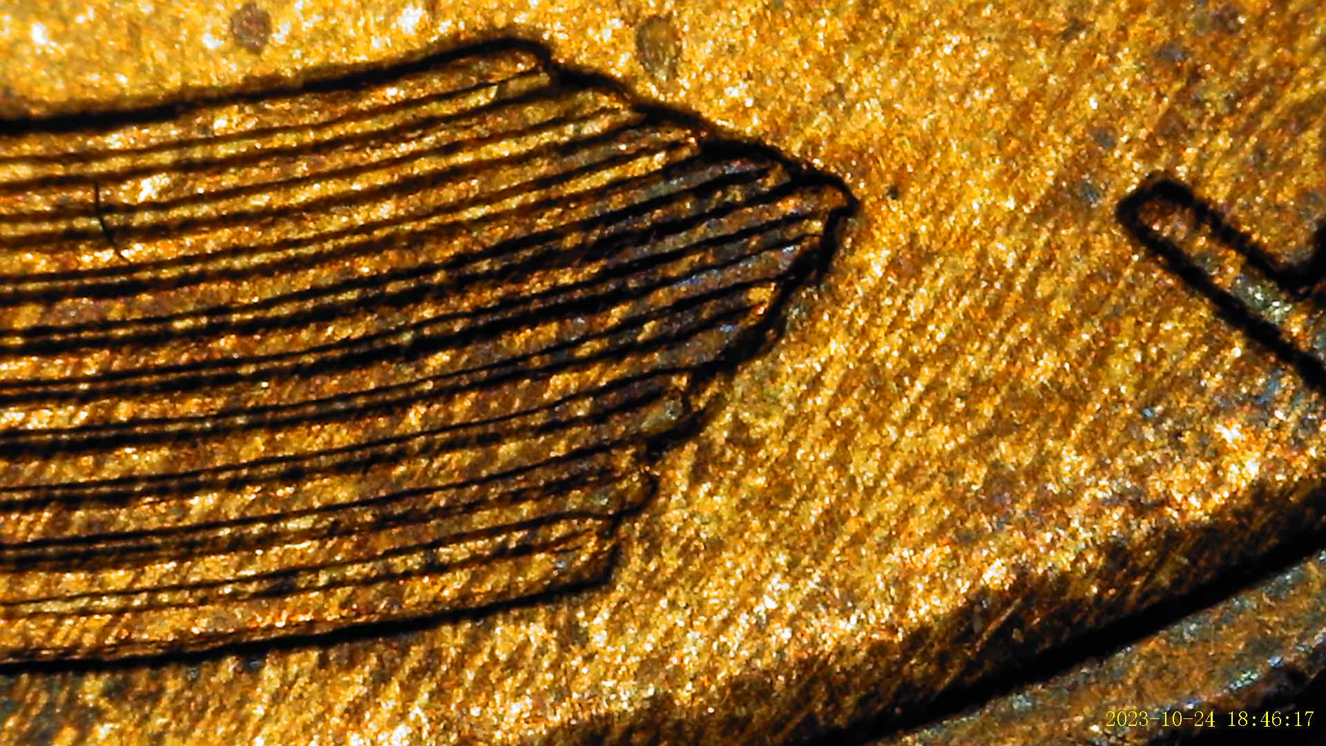 1909-VDB-Lincoln-Wheat-Penny-Possibly-Showing-DDR