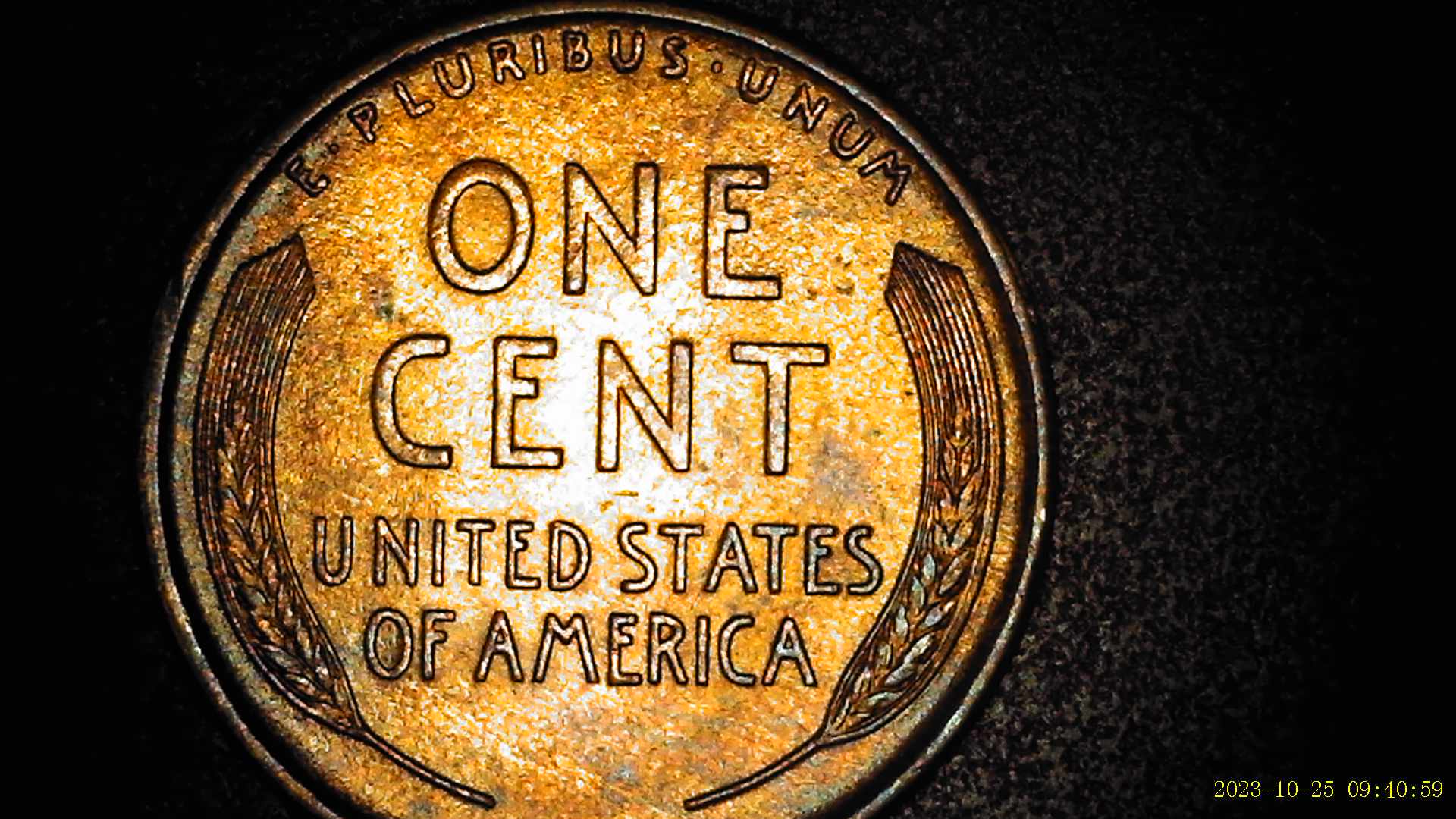 1909-VDB-Lincoln-Wheat-Penny-Possibly-Showing-DDR
