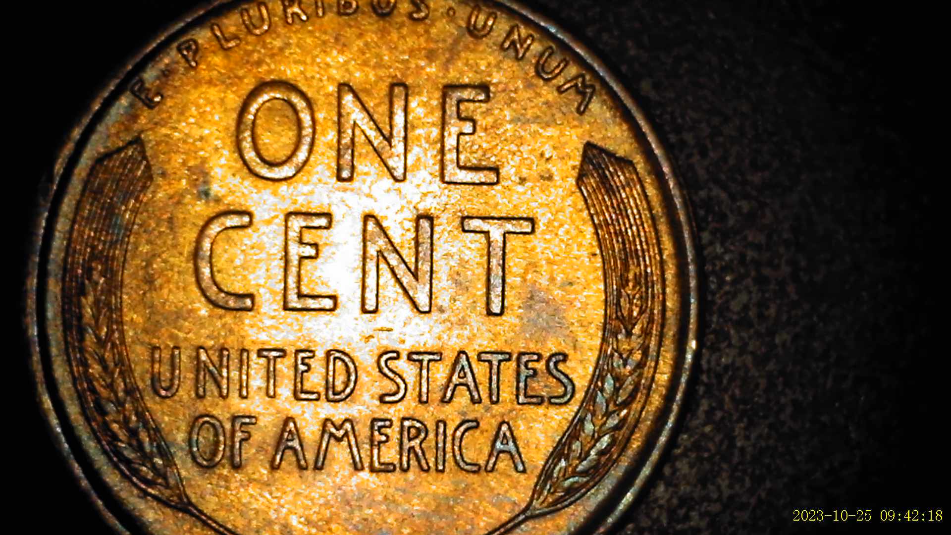 1909-VDB-Lincoln-Wheat-Penny-Possibly-Showing-DDR