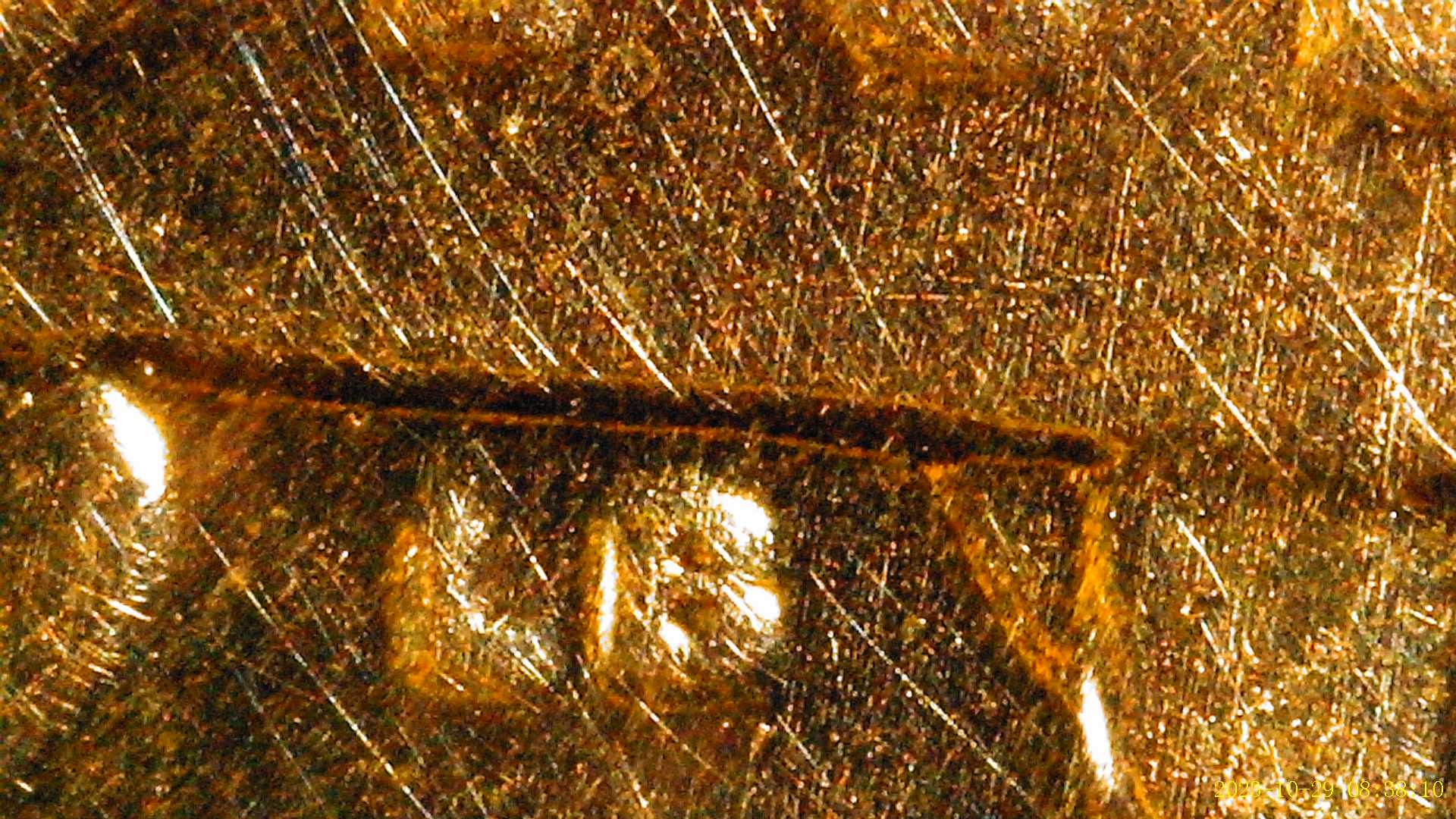 2018-D-Lincoln-Shield-Penny-With-Questionable-RPM/Ddr-Possibility