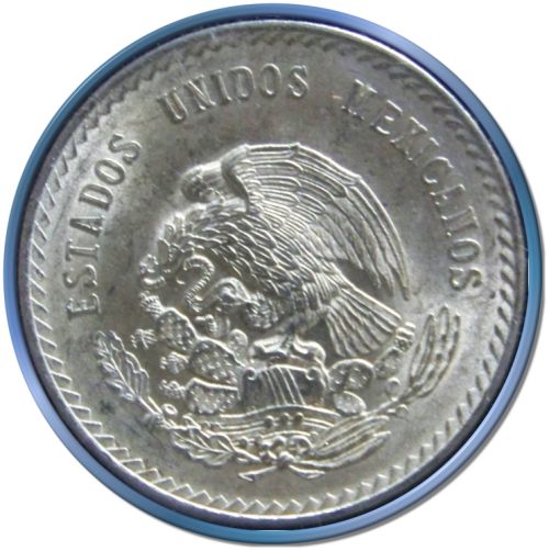 What-Are-Some-Cool-World-Silver-To-Look-Out-For?