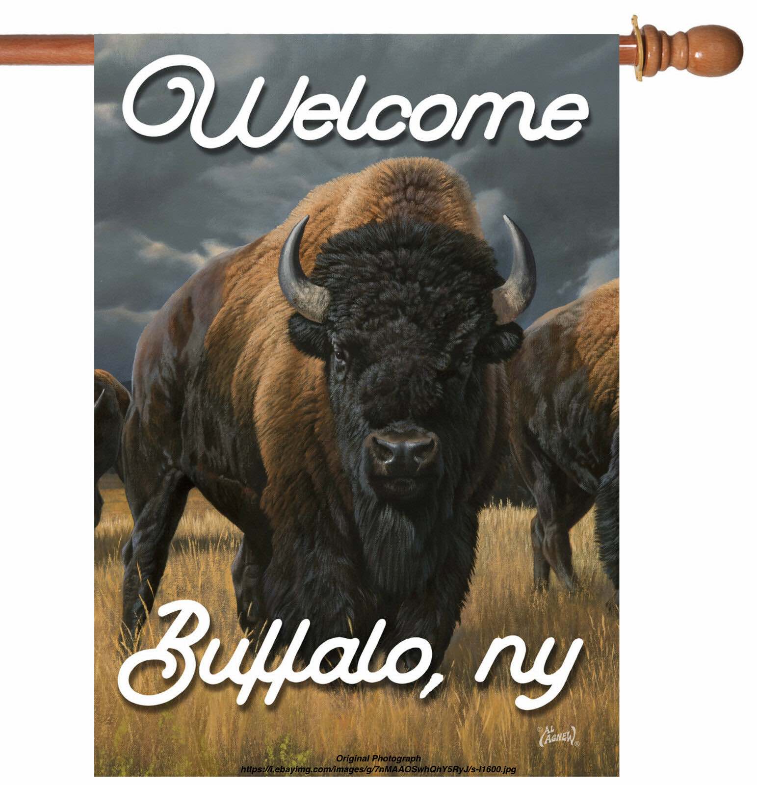 Ty2020B-Buffalo-Nickel-AU-/-MS-Set....in-Progress-W/Updates