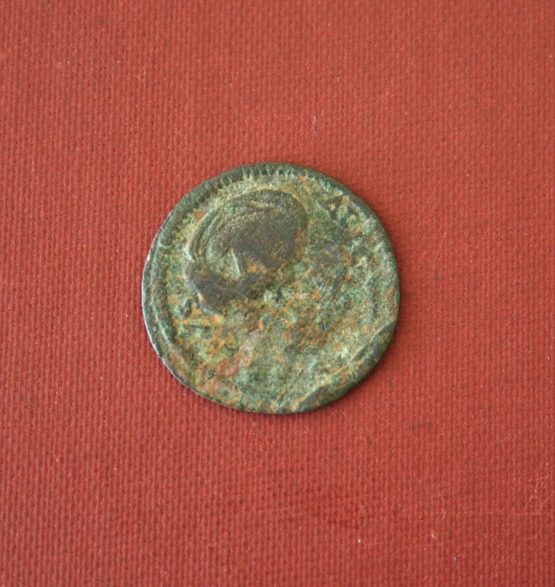Need-Help-Identifying-These