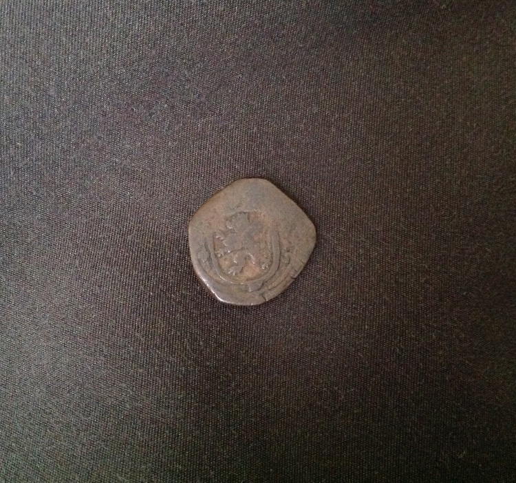 Need-Help-With-Identification