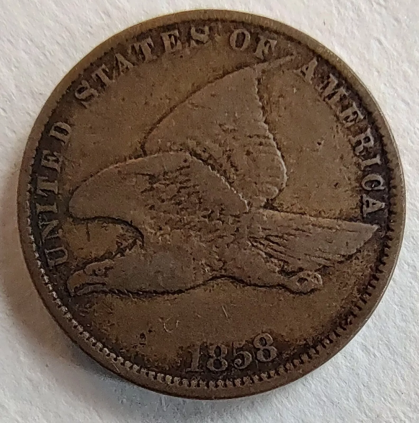 Which-Flying-Eagle-Is-Better?