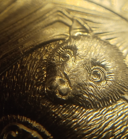 2020-D-Quarter-Possible-New-Strike-Thru?