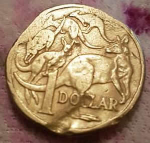 1985-$1-Australian-Error-Coin-Not-Kangaroo-Ears