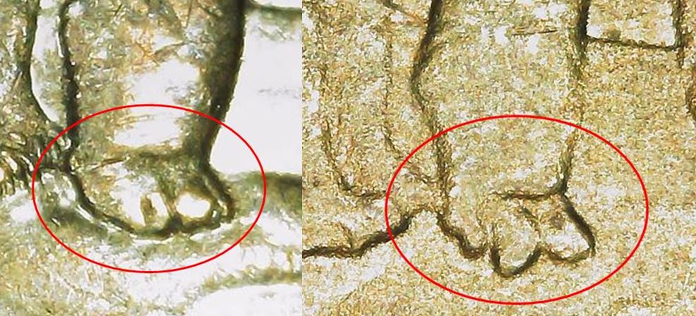 Counterfeit-Toonies-Are-Going-To-Be-A-Significant-Problem