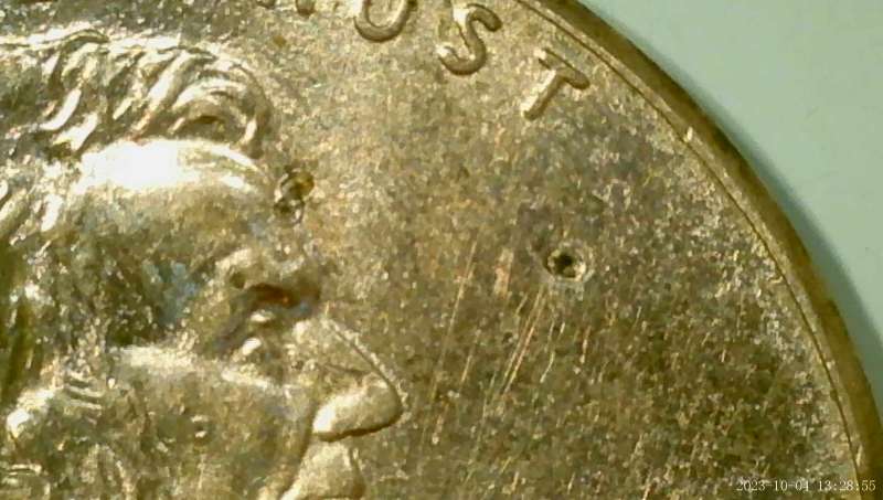 2009-Lincoln-Cent-Professional-Life