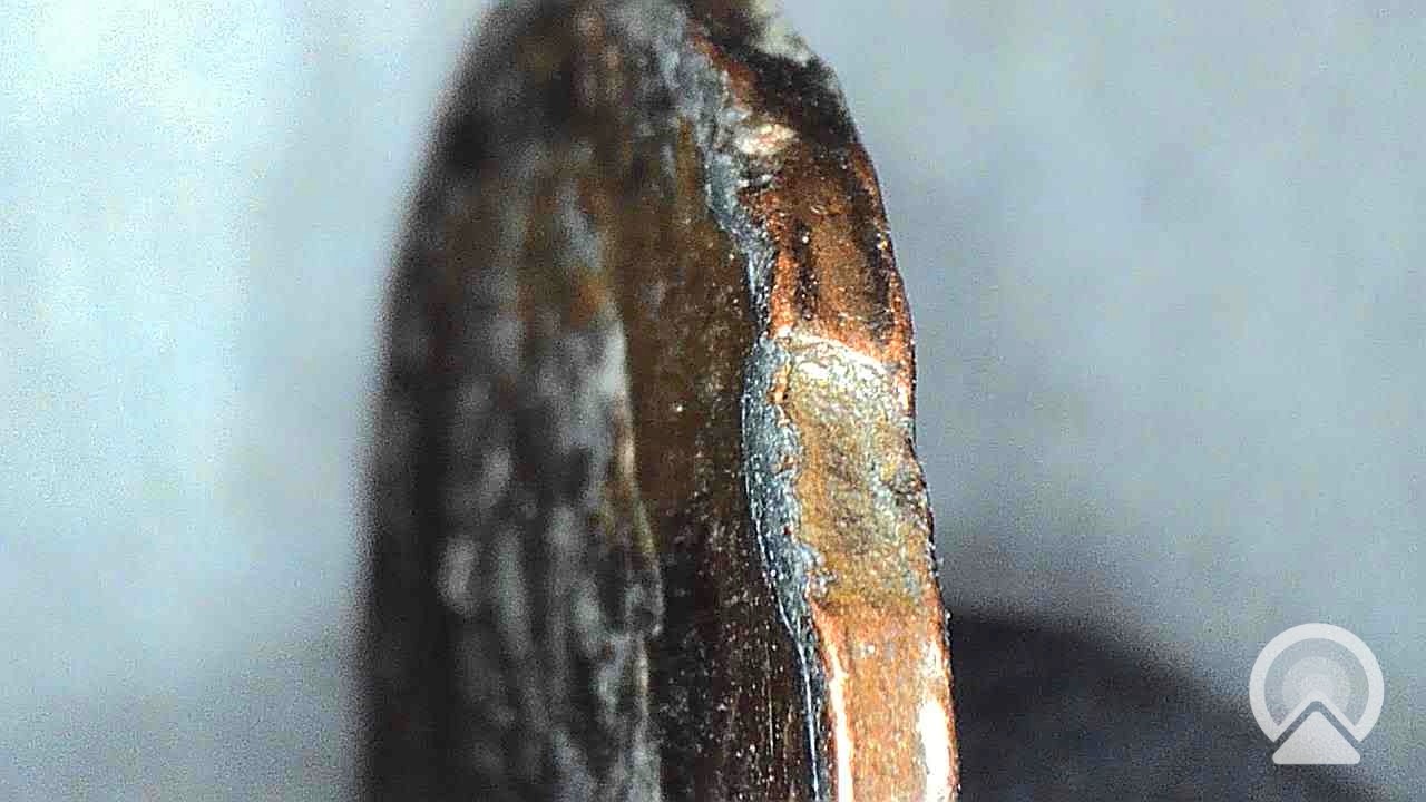 Lincoln-Memorial-Cent-Unknown-Date-Possible-Die-Error