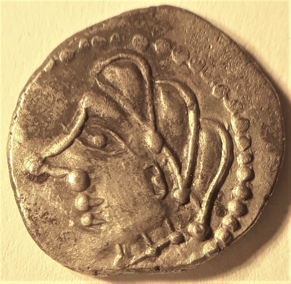 My-First-Animal-On-A-Coin.