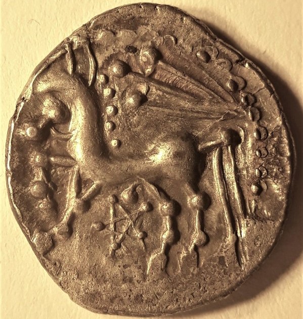 My-First-Animal-On-A-Coin.